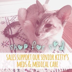 thank you for your support 💕🐈💕